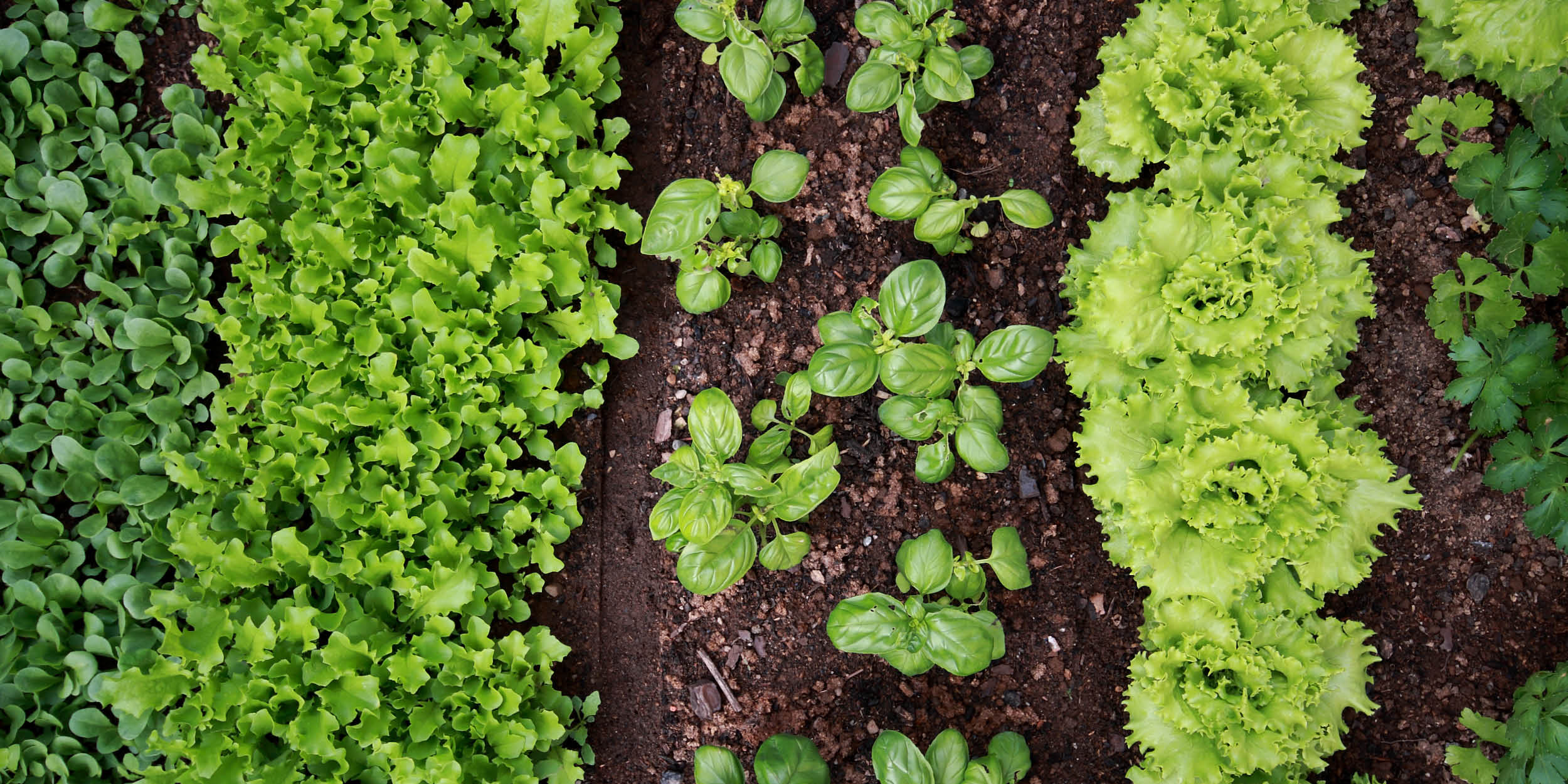 how-to-bokashi-compost-on-a-larger-scale